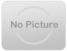 Christmas Lights Installed